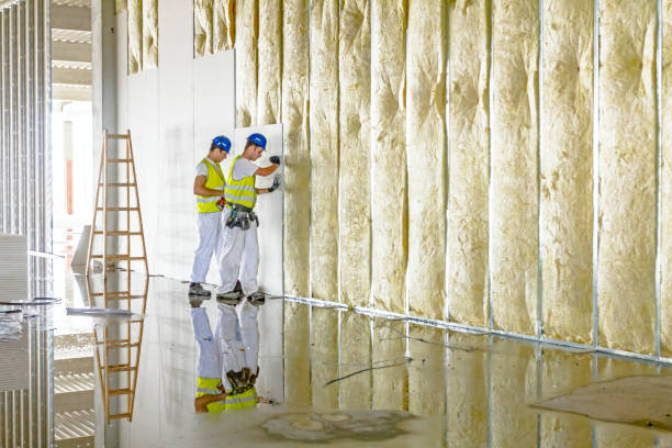 Best Residential Insulation in Ulysses, KS